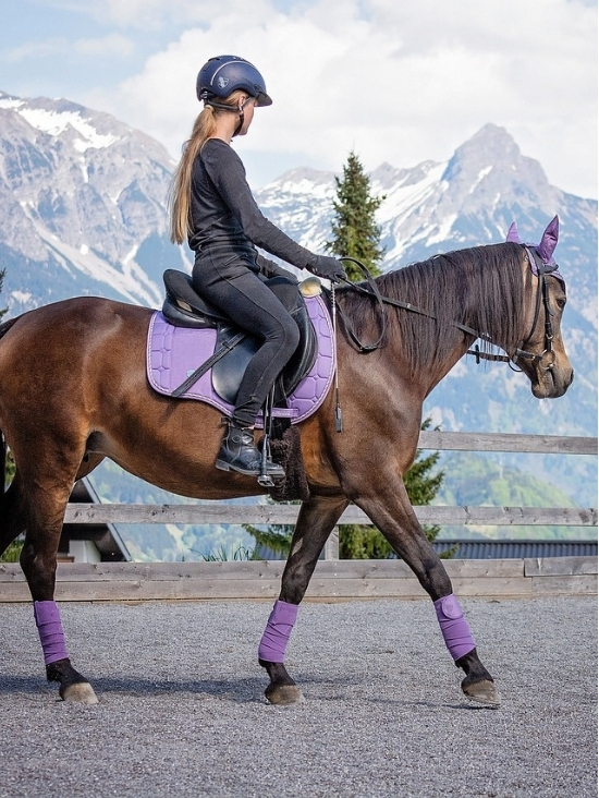 Horseback riding in Combloux in summer, holidays in the French Alps with a view of Mont-Blanc.