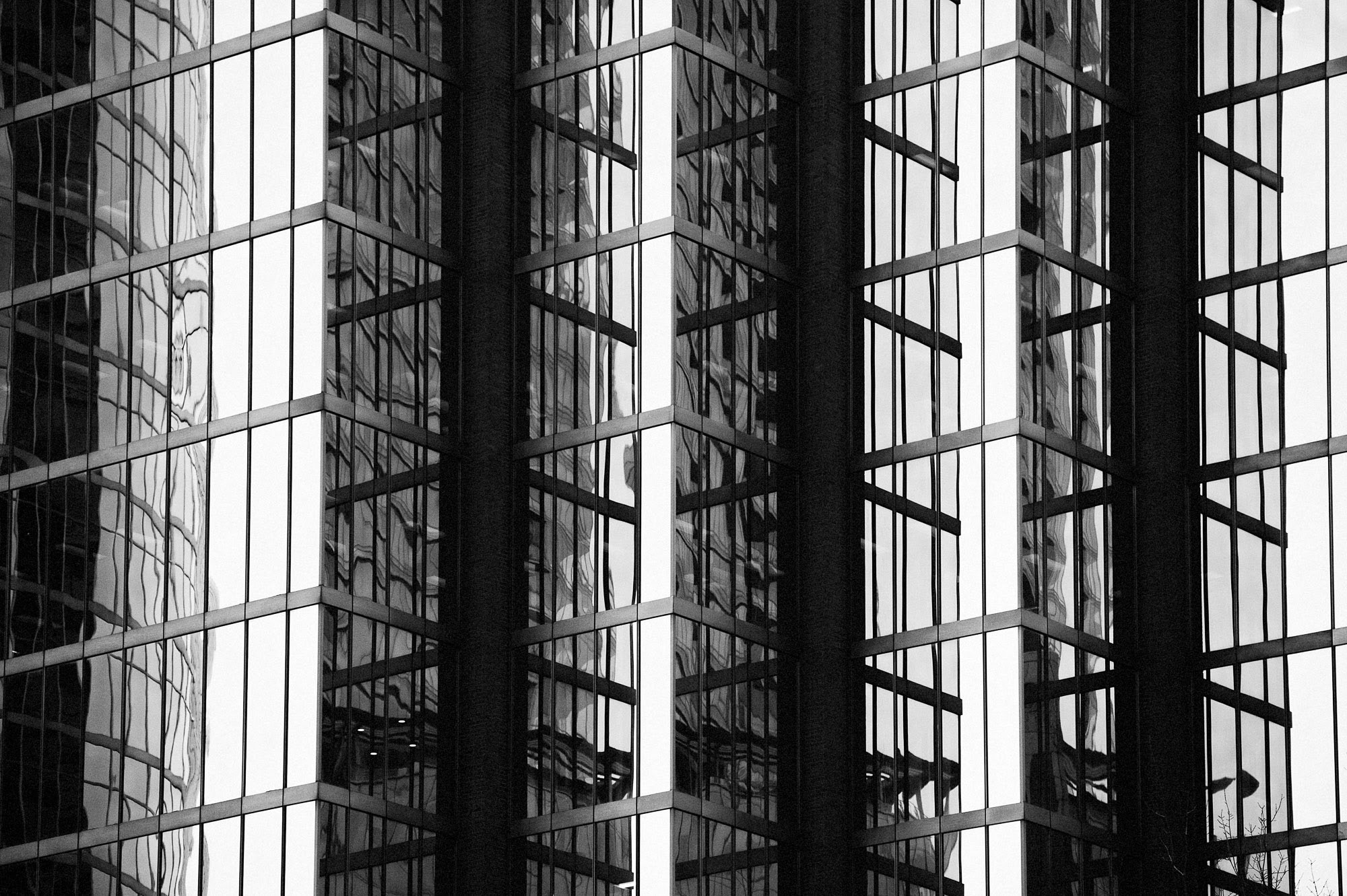 First-Ever Appeal for Freeze Order Powers