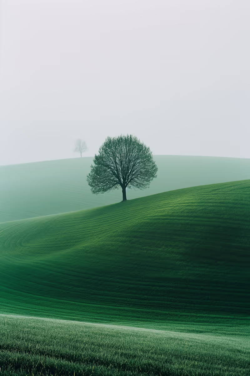 Landscapes