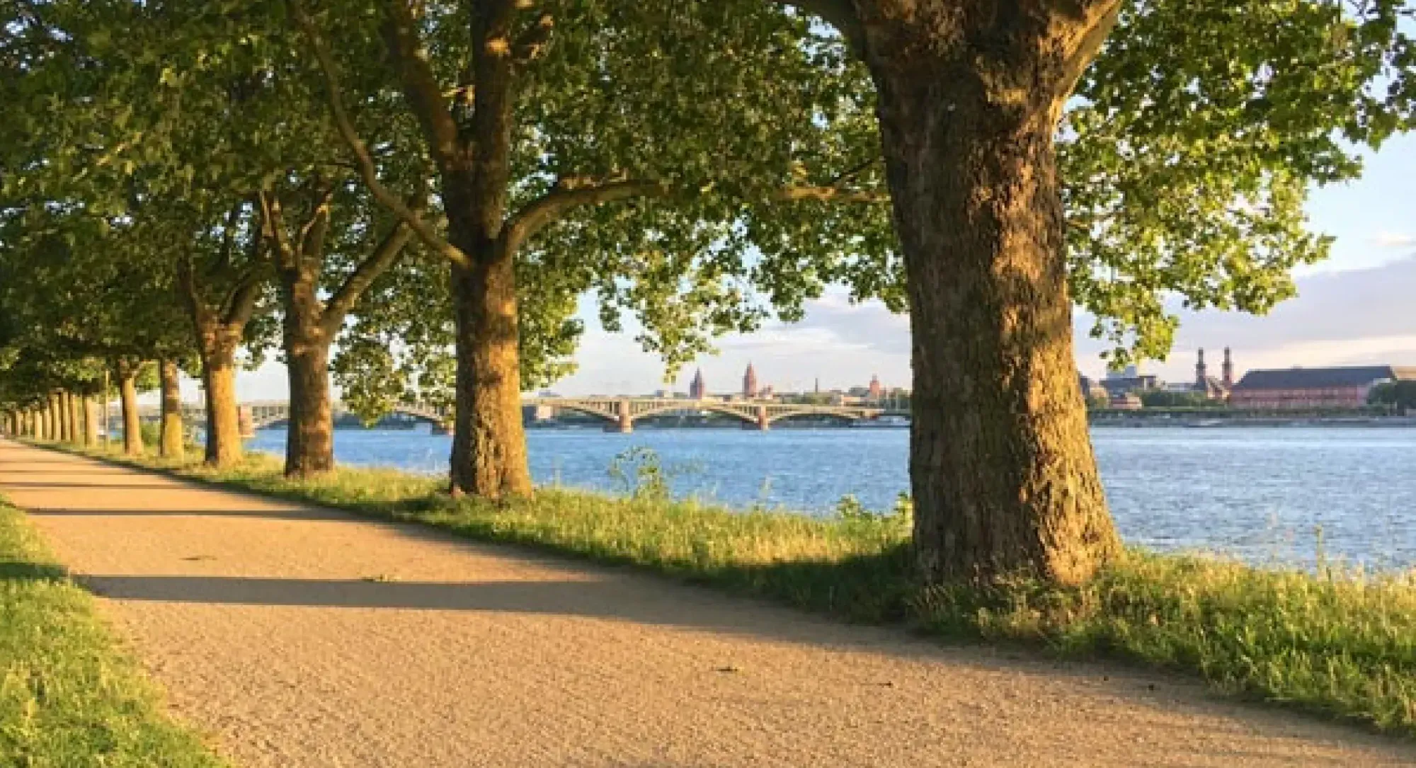 Umgebung Hotel Alina Mainz-Kastel – Sehenswürdigkeiten in Mainz und Wiesbaden