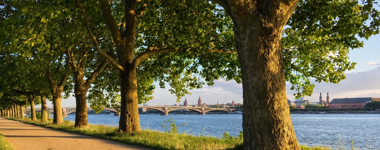 Umgebung Hotel Alina Mainz-Kastel – Sehenswürdigkeiten in Mainz und Wiesbaden