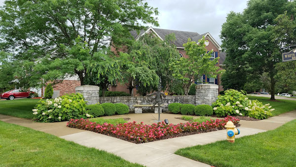 clean lawn beautiful flowers
