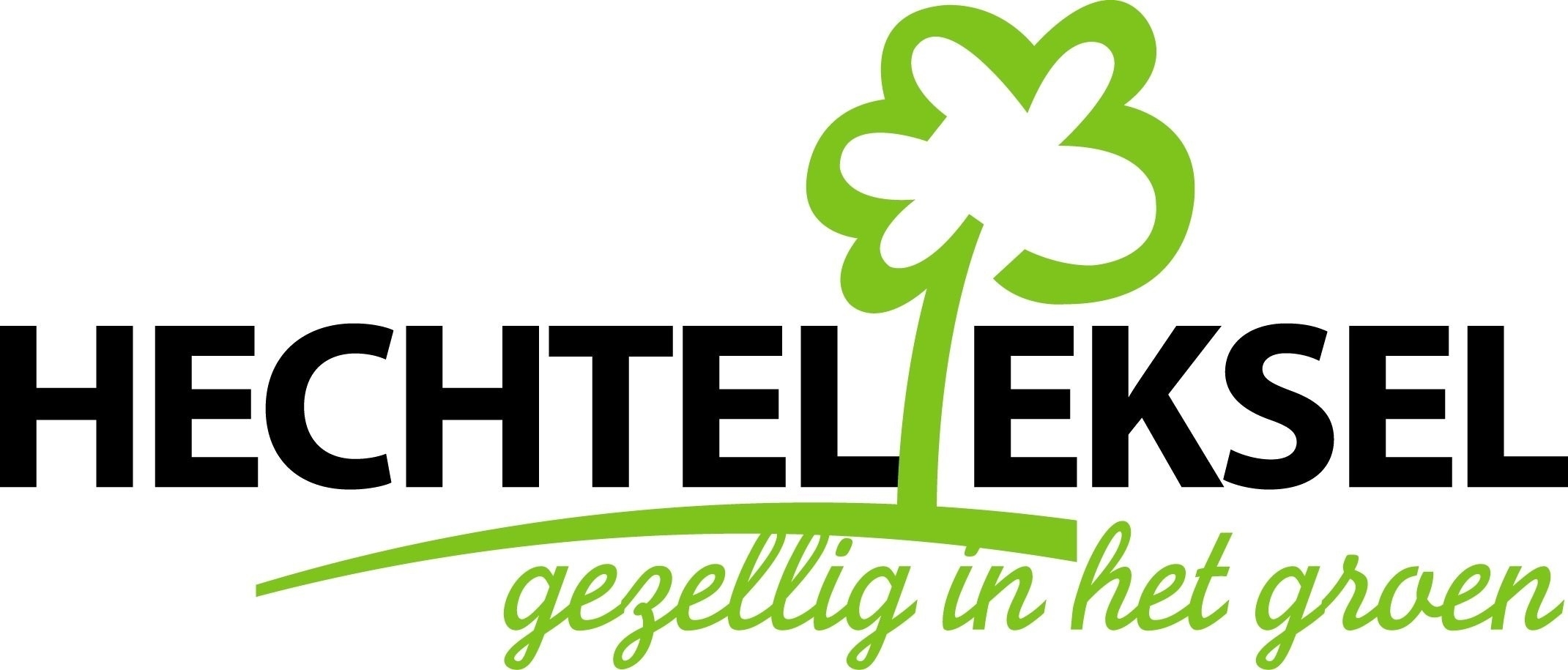 Haalbaarheidsstudie warmtenet biomassa Hechtel-Eksel