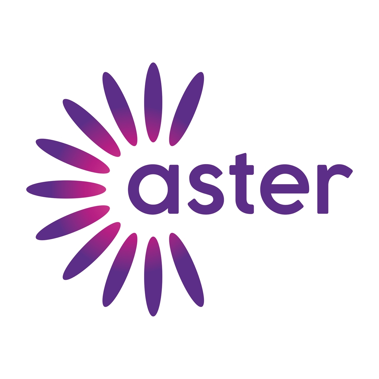 ASTER - PV en laadinfrastructuur voor sociale woningen