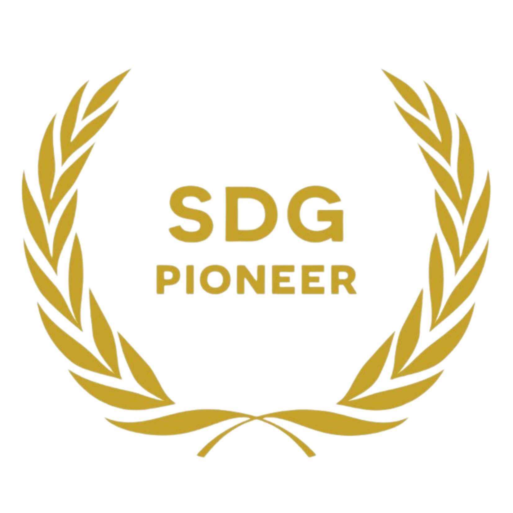 SDG pioneer