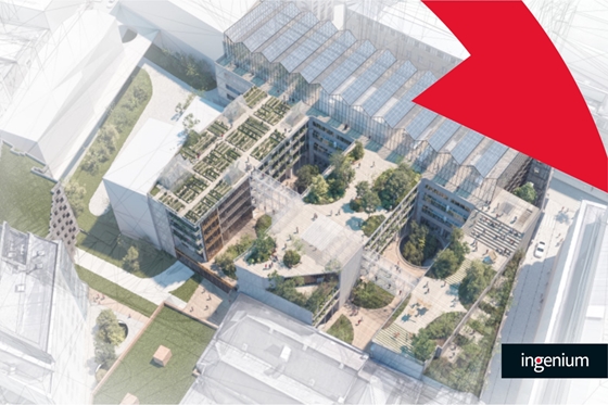 Creatieve invulling kelder zorgt voor originele energiebron in Brussels project