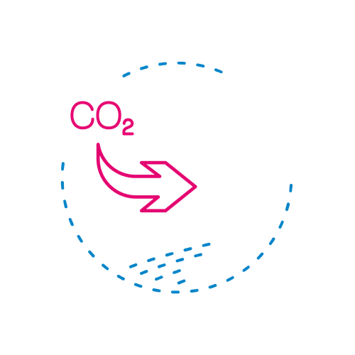 Illustration of Tree recieving CO2