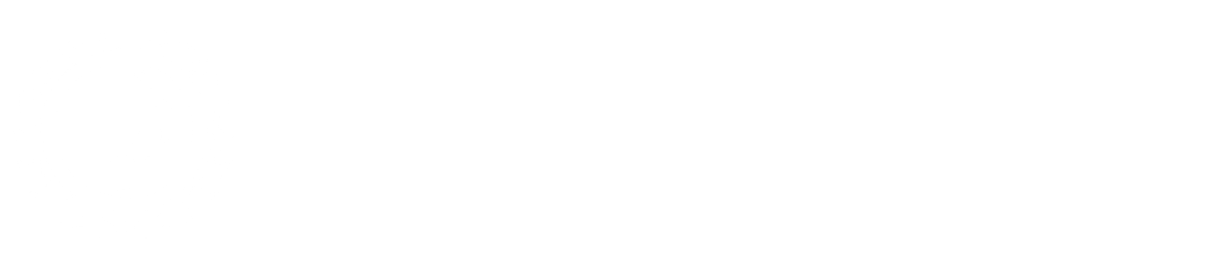Renzo Gracie Riverstone Jiu-Jitsu Academy logo in white featuring circular panther emblem and bold RIVERSTONE branding
