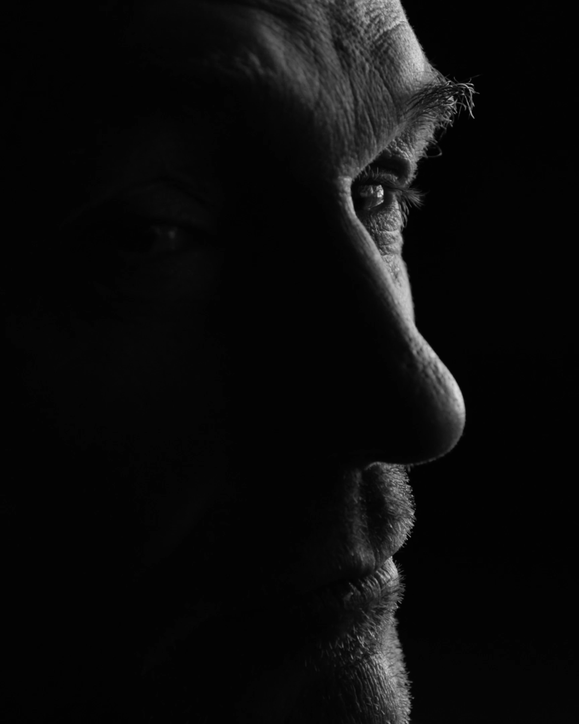 Low-key profile close-up of Florian Engert, a single light catching the eye and brow, LÖBNER portrait directed and produced by Studio ONOM