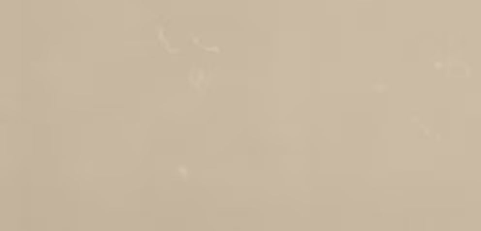 Evening view of Dubai Outsource City from afar