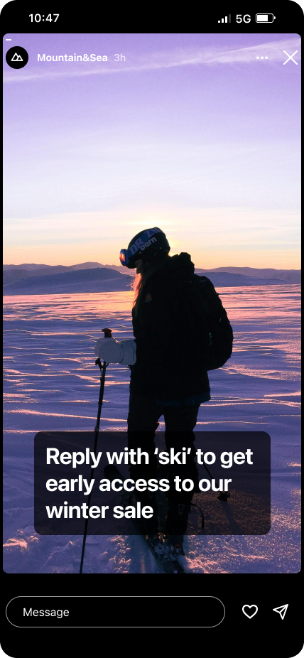 An Instagram story with an image of a skier. The text reads "Reply with 'ski" to get early access to our winter sale