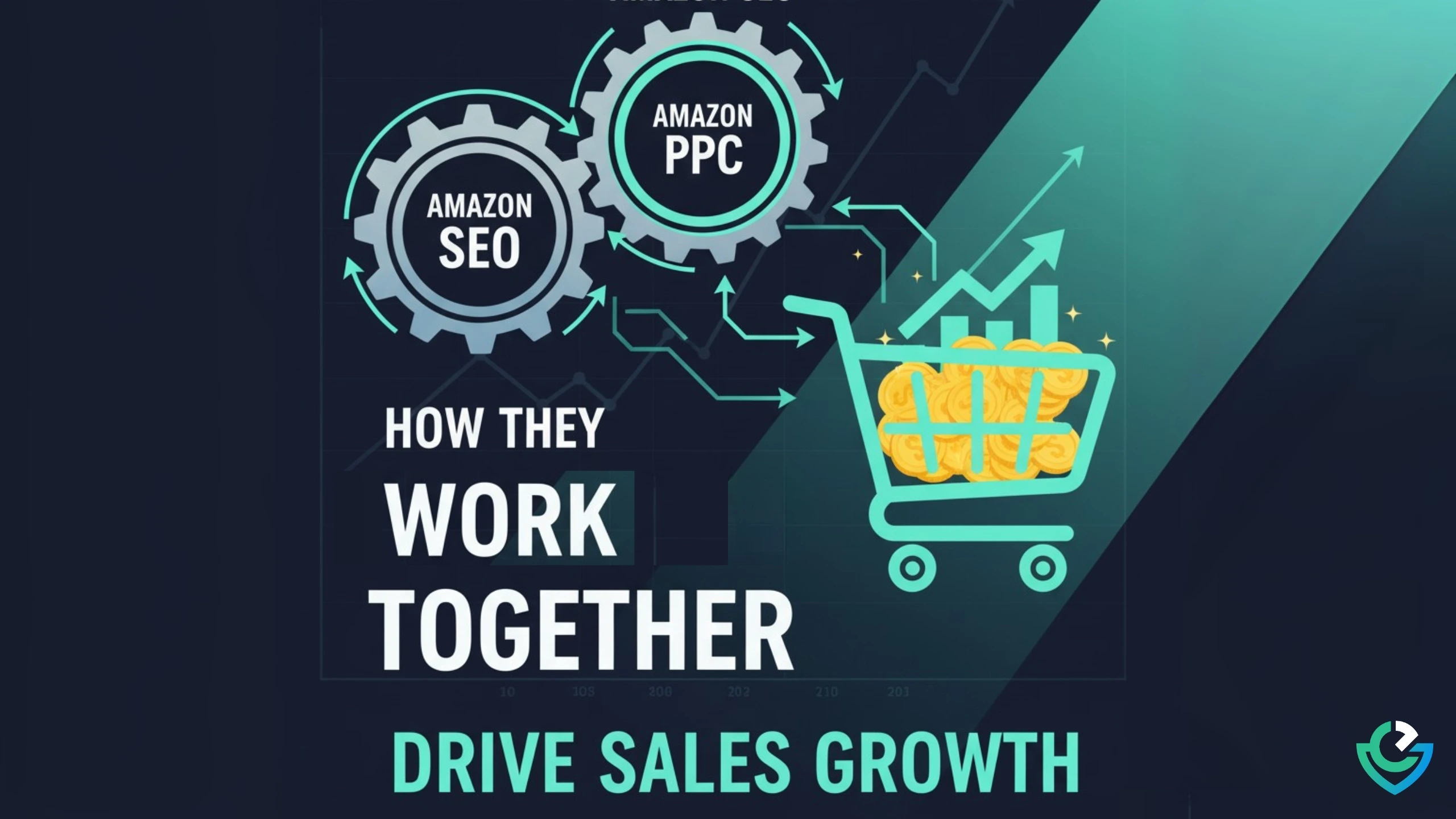 Amazon PPC, Amazon SEO, Increase Sales on Amazon