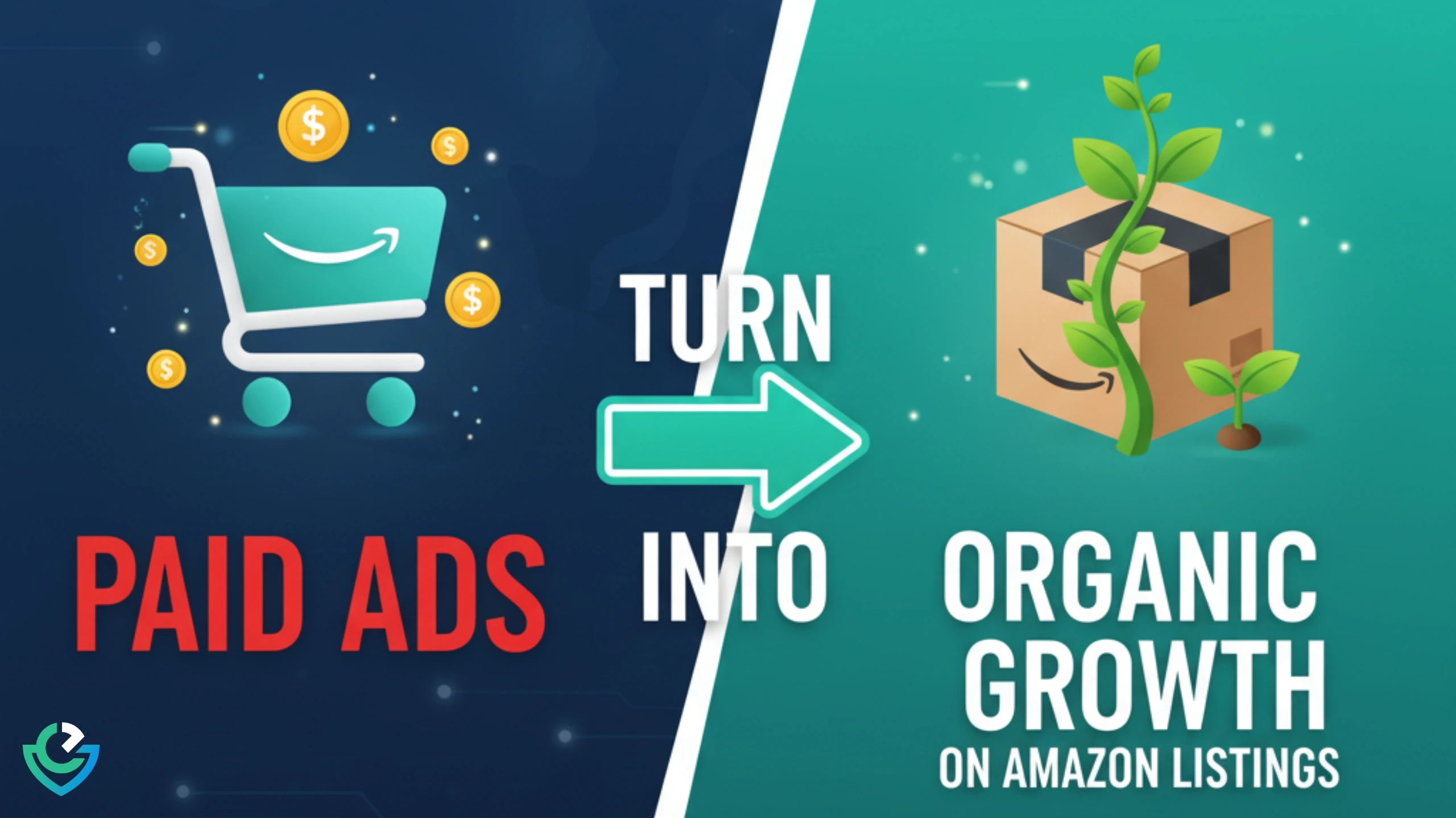 Amazon PPC, Paid Ads, Organic Growth