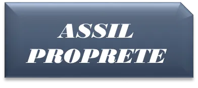 Logo assil propreté