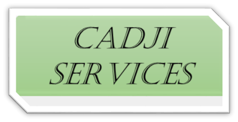 Logo de la société Cadji Services