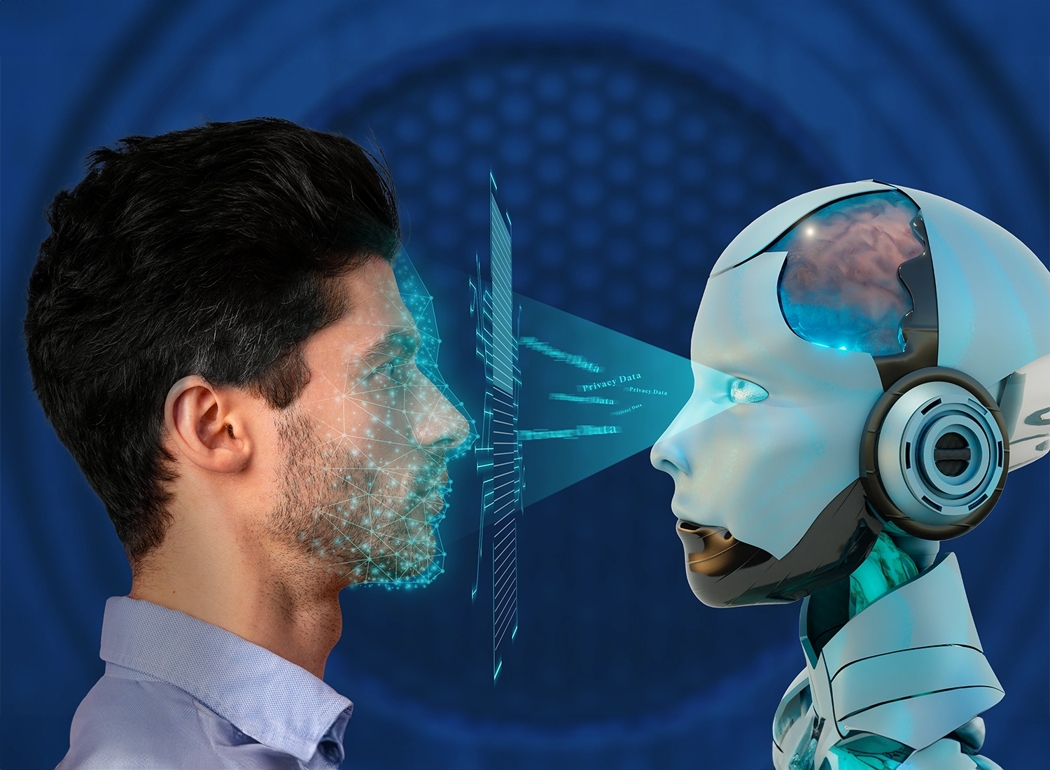 Aligning AI Systems with Human Judgment Through RLHF