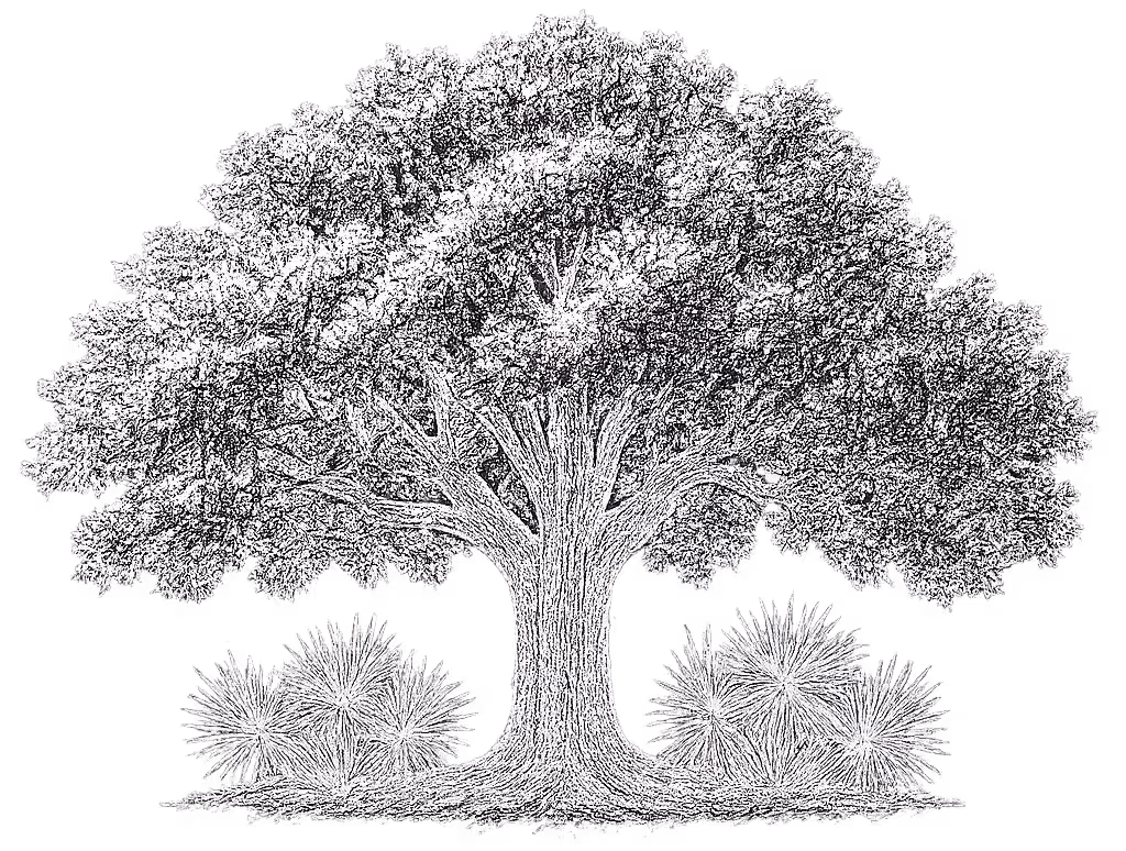 tree