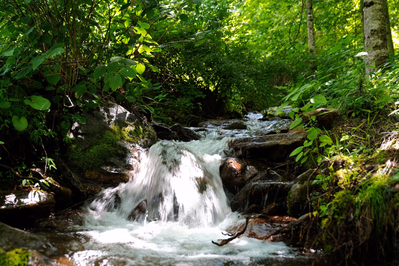 nature and water