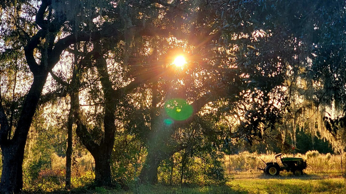 Wealth Management.  Planning.  Strategy.  Legacy.