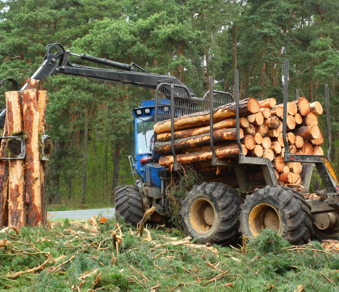 Environmental services working on a timber project.
