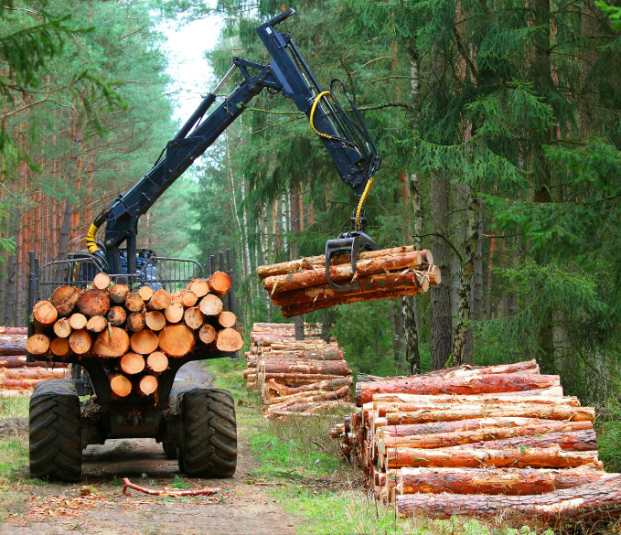 Environmental services working on a timber project.