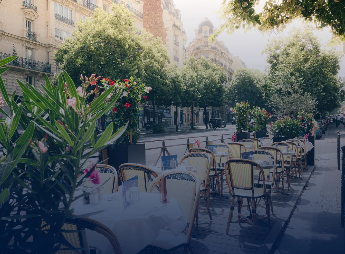 Terrasse fleurie paisible à l’ombre des arbres