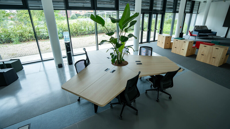 Spazio coworking moderno con tavolo condiviso centrale con pianta, sedie nere e ampie finestre panoramiche.