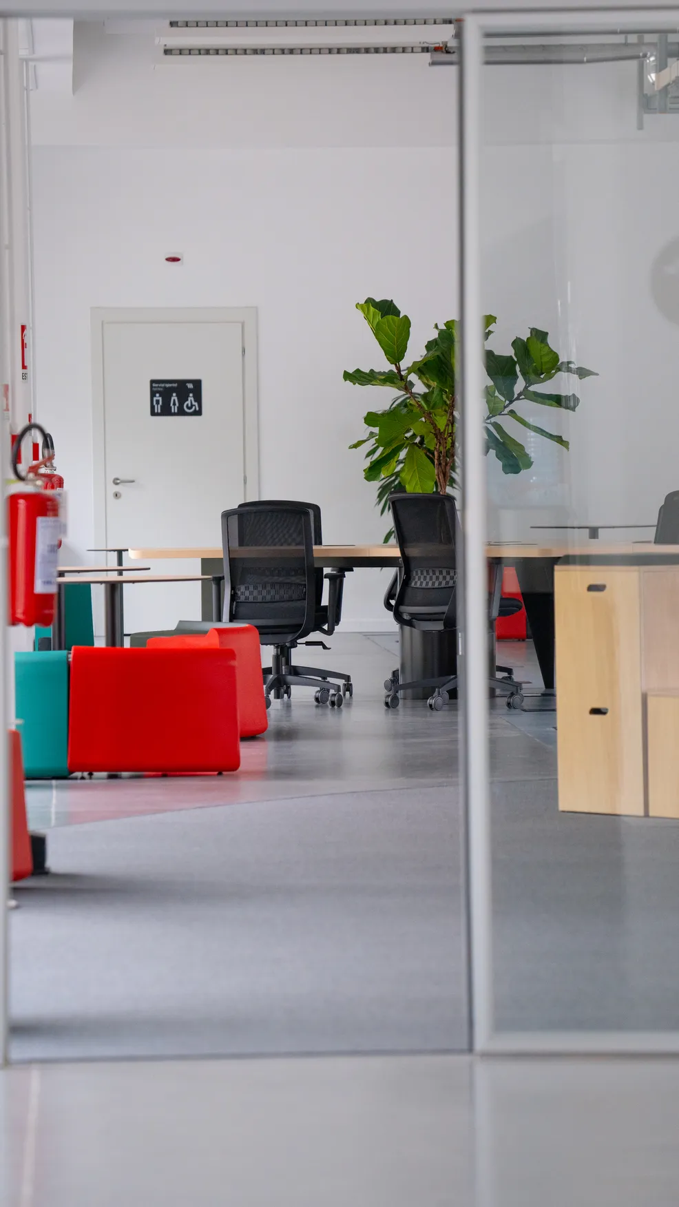 Ufficio moderno con sedie da scrivania nere, tavolo lungo, piante e sedute rosse e verdi, riflesso su parete di vetro.