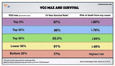 VO2 Max Results