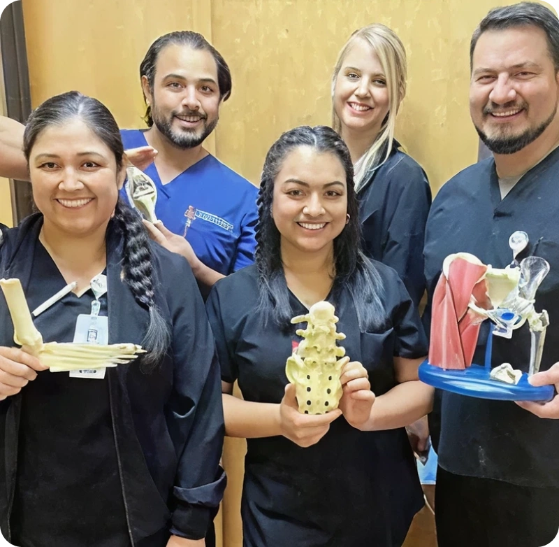 A group of dental professionals holding models of the human body.