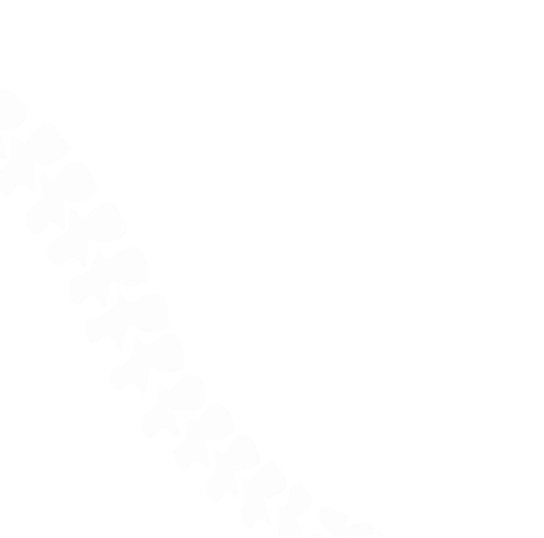 Beginner's Guide to Jones Fracture | Bone Drs Orthopedic Care