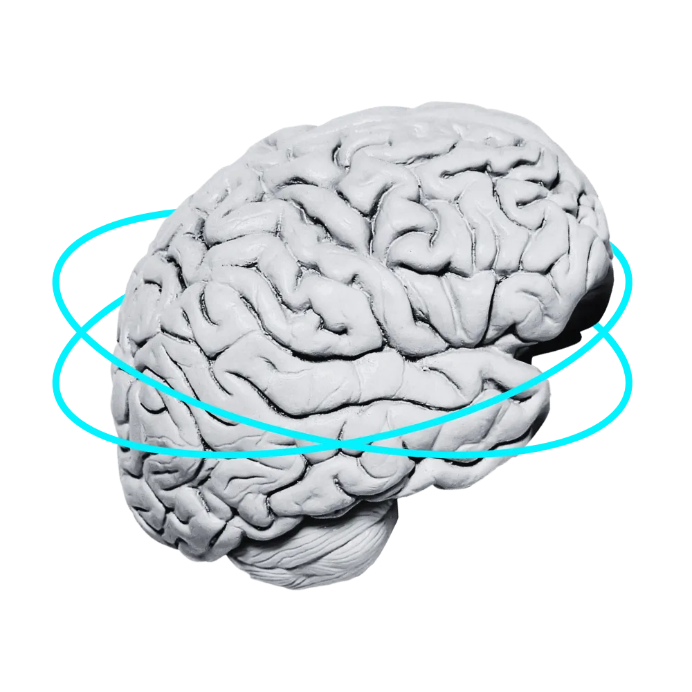 A brain graphic wrapped in two aqua rings.