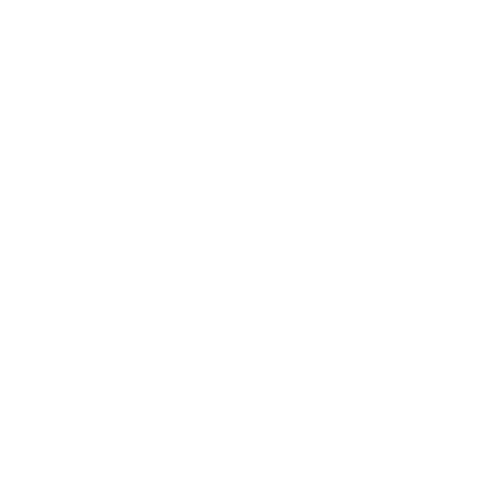 Birds flying with freedom icon