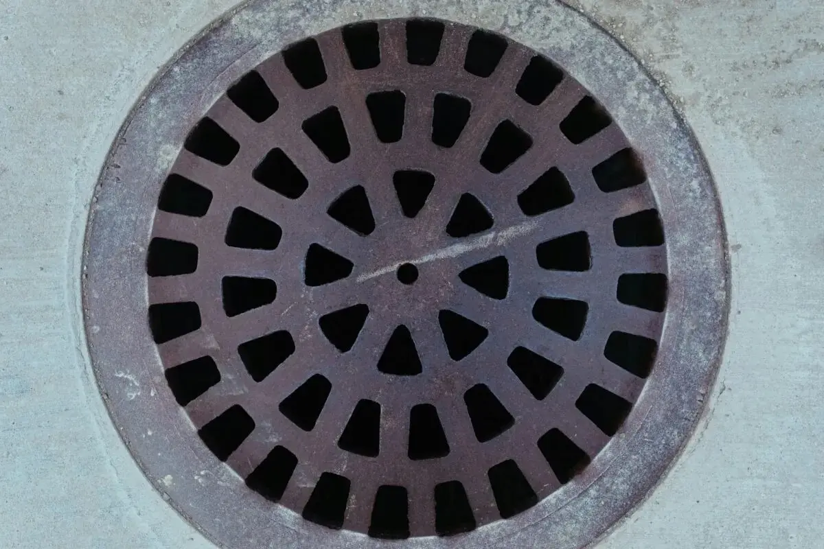 Avoiding Drainage Issues: How Regular Drain Cleaning Services Can Protect Your Home