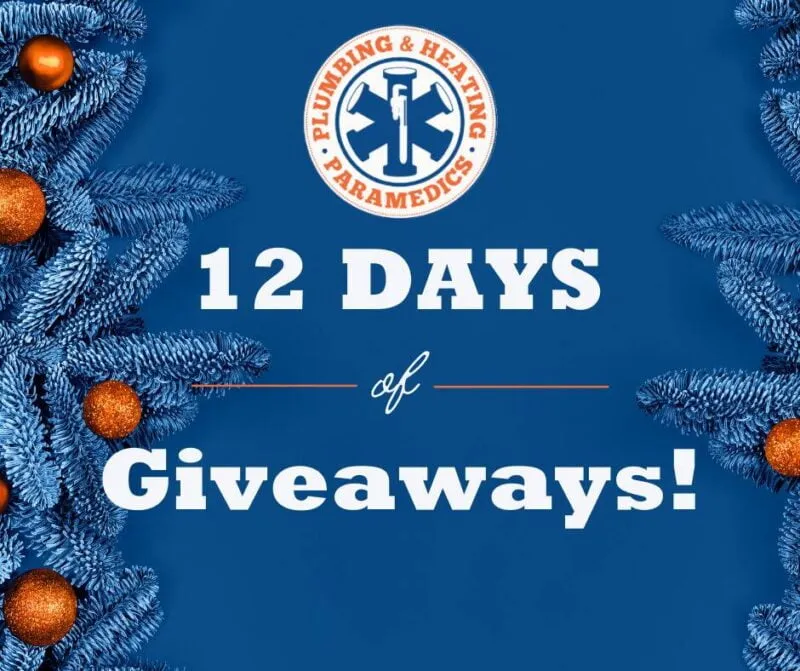 ❄12 Days of Giveaways - December 2021!❄
