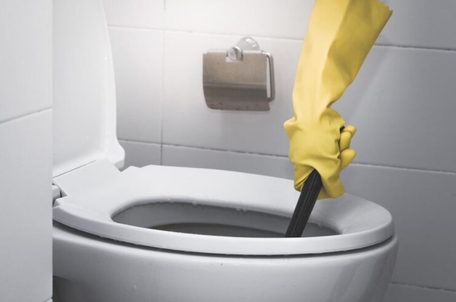 Professional Solutions for Sewage Backup Problems