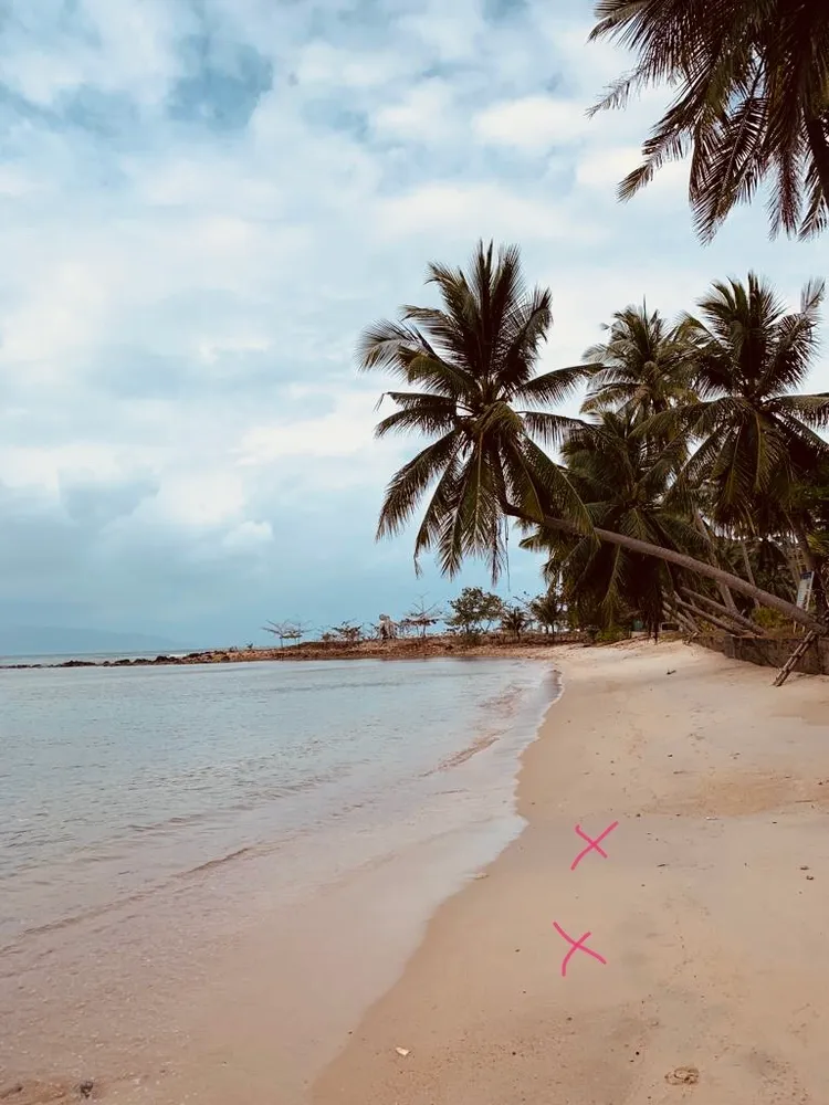 A tranquil beach in Koh Samui with palm trees lining the sandy shore under a cloudy sky, potentially inspiring the artistic themes of Tenuta Golo Winery in Montepulciano.