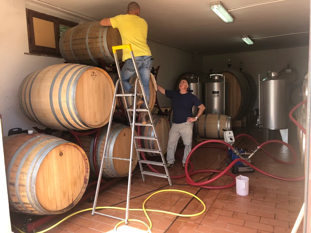 Cellar work at Tenuta Golo