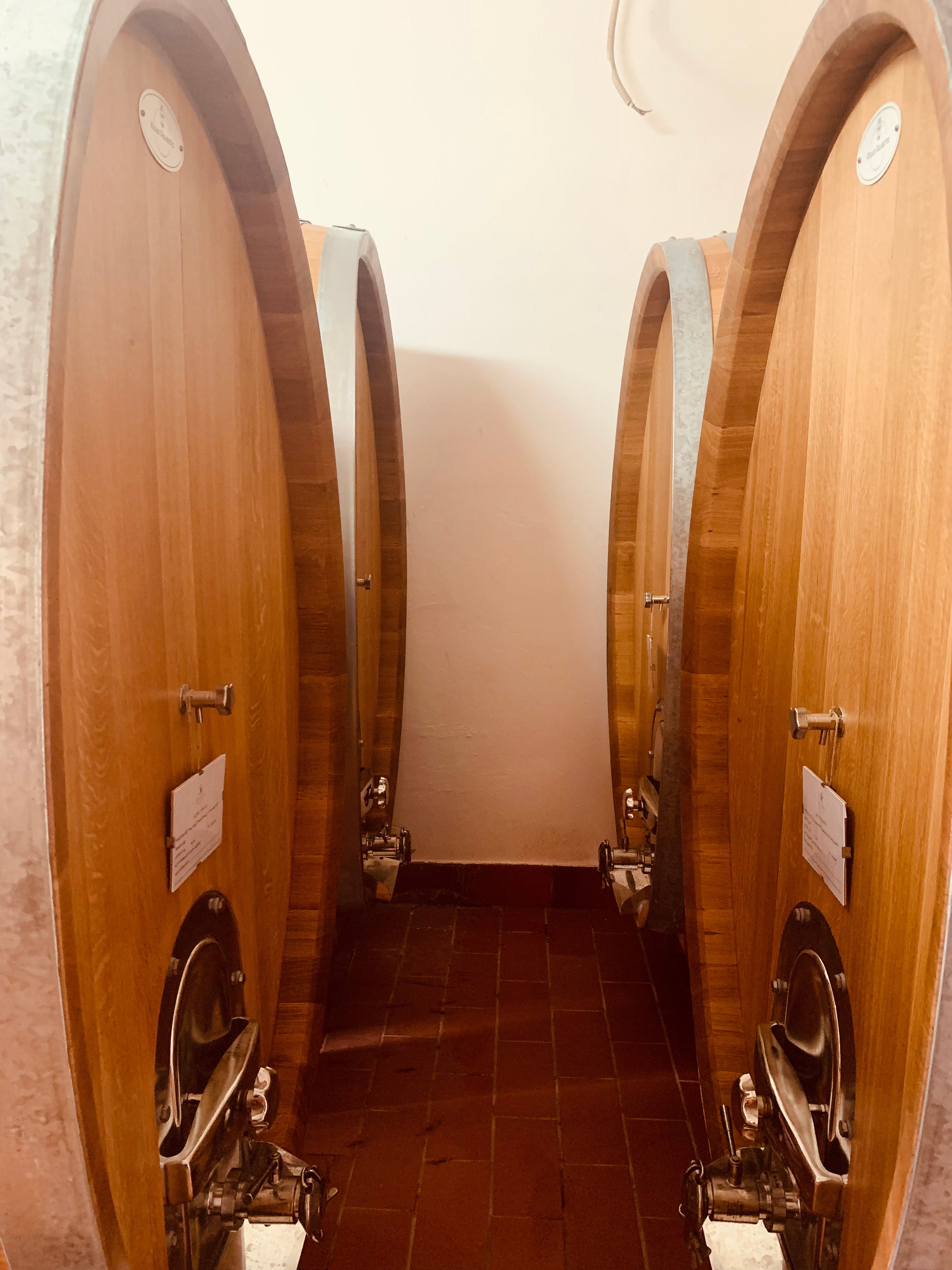 Foudres at Tenuta Golo