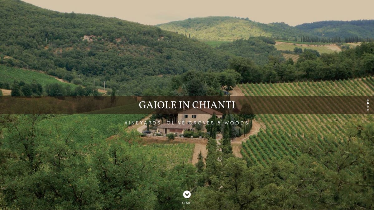 9 Unforgettable Tuscan Wine Tours to Experience in 2025 - Le Miccine E-Bike Vineyard Adventure