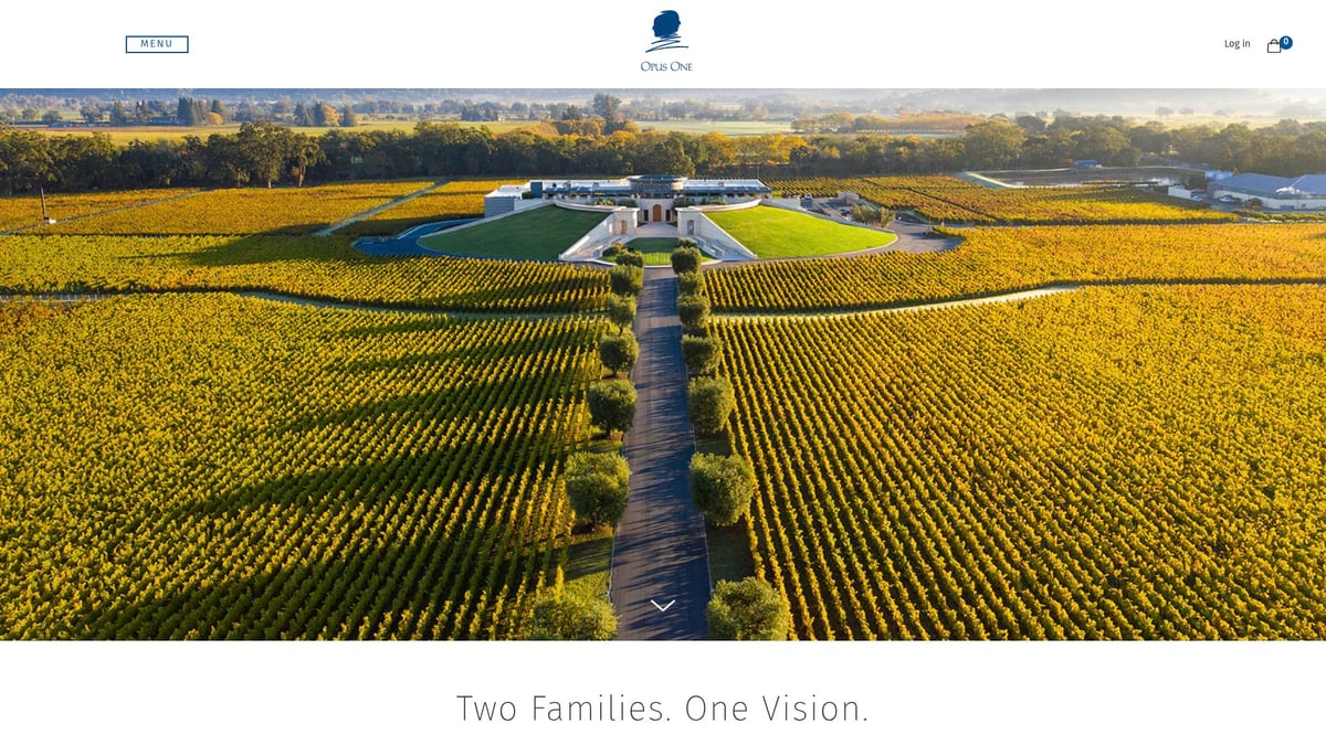 7 Best Tasting Red Wine Picks to Try in 2025 - Opus One 2020, Napa Valley