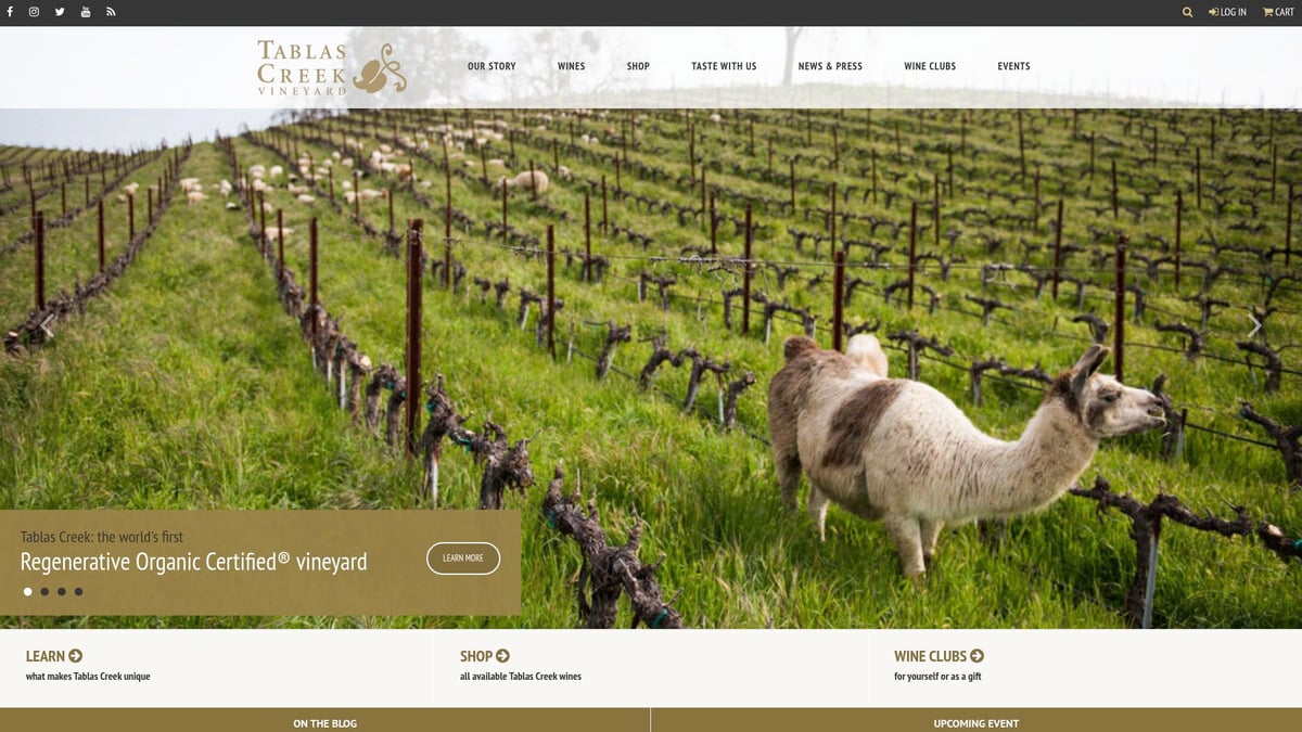 9 Must-Visit Local Wineries Near Me for 2025 Wine Lovers - Tablas Creek Vineyard