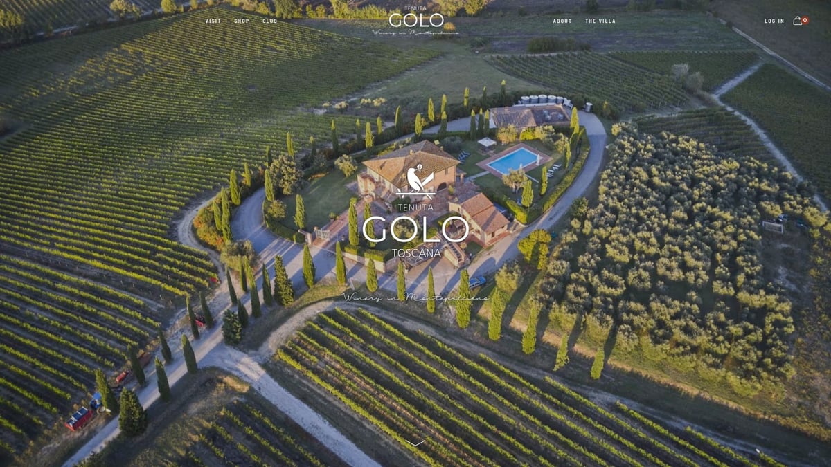 Wine Tasting Club Guide: Explore and Savor in 2025 - Immersive Winery Experiences: Tenuta Golo