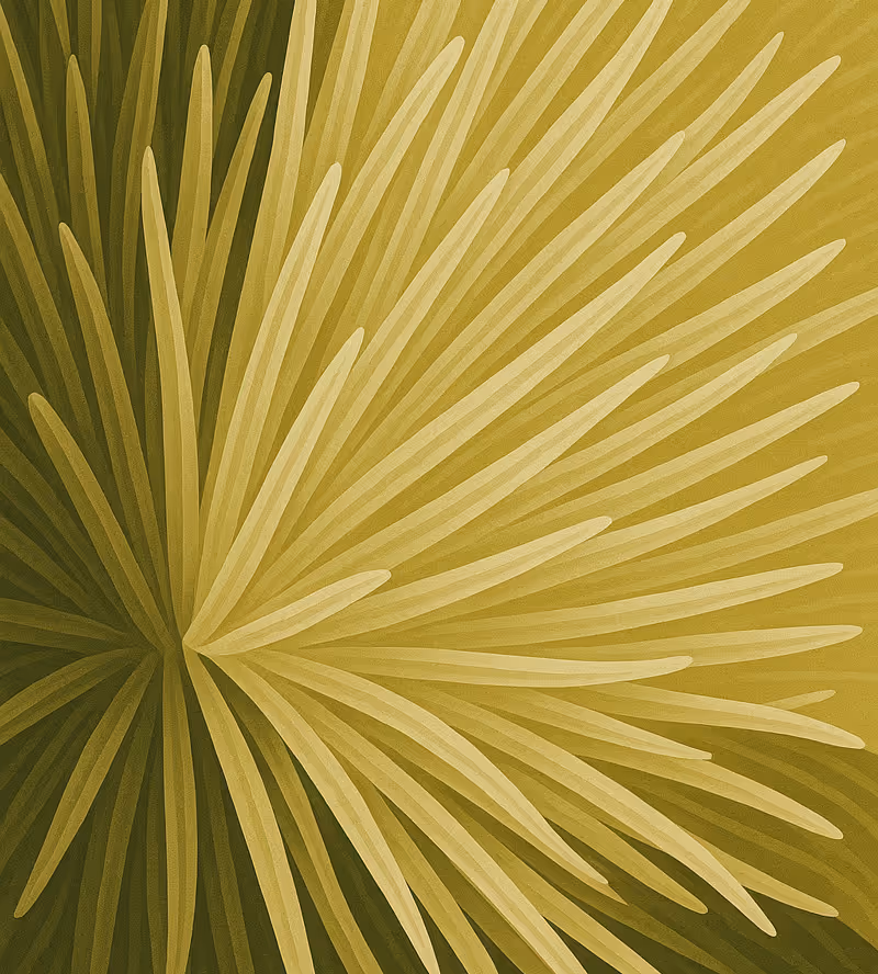 Care-full Courses Illustration depicting Introduction to Biodiversity