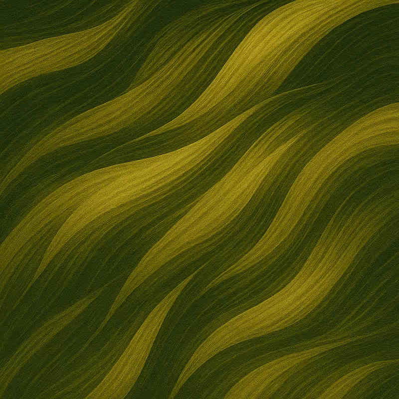 Care-full Courses Illustration depicting Policymakers User Guide