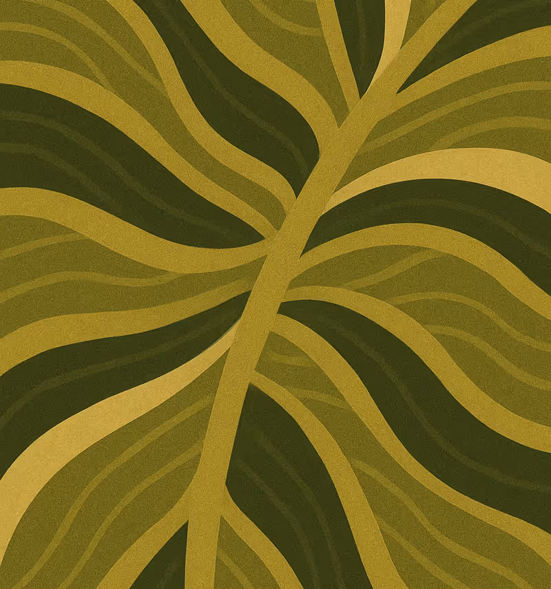 Care-full Courses Illustration depicting Inaturalist