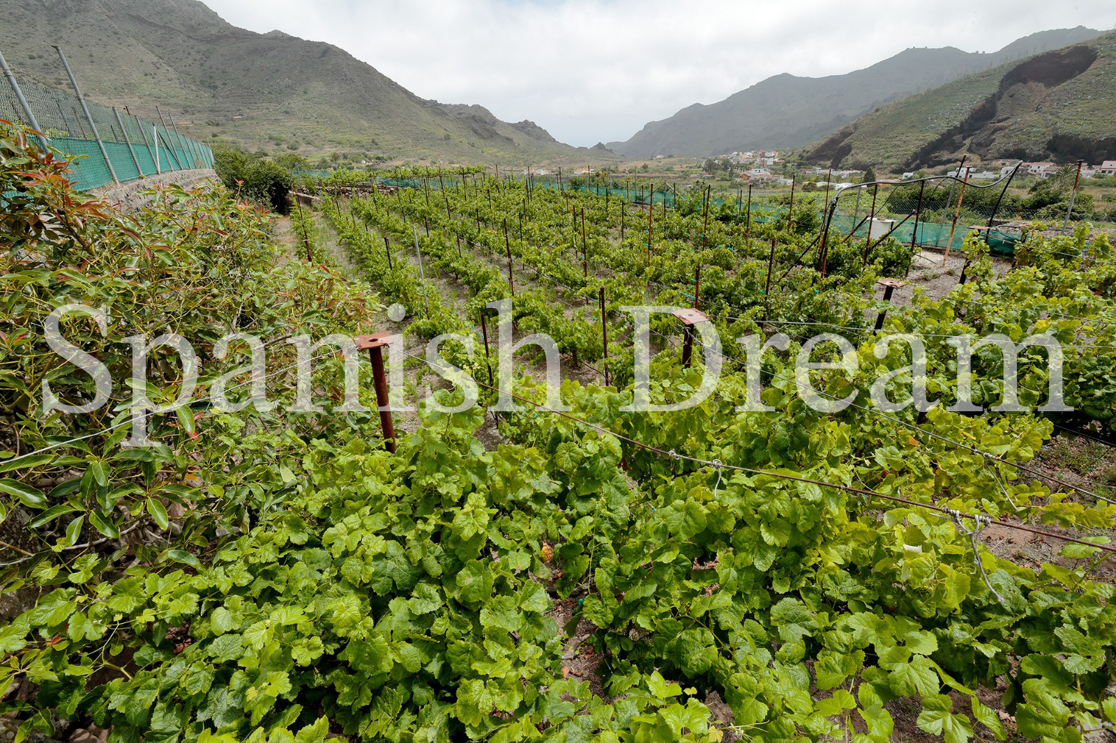 Rustic Finca for sale in El Palmar, North Tenerife