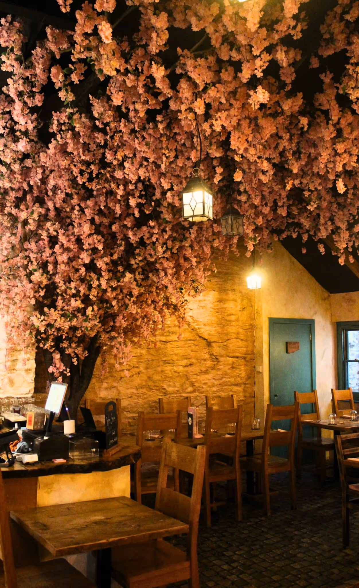 Cozy indoor café with wooden tables and chairs beneath a large ceiling installation of pink cherry blossoms and hanging lanterns.