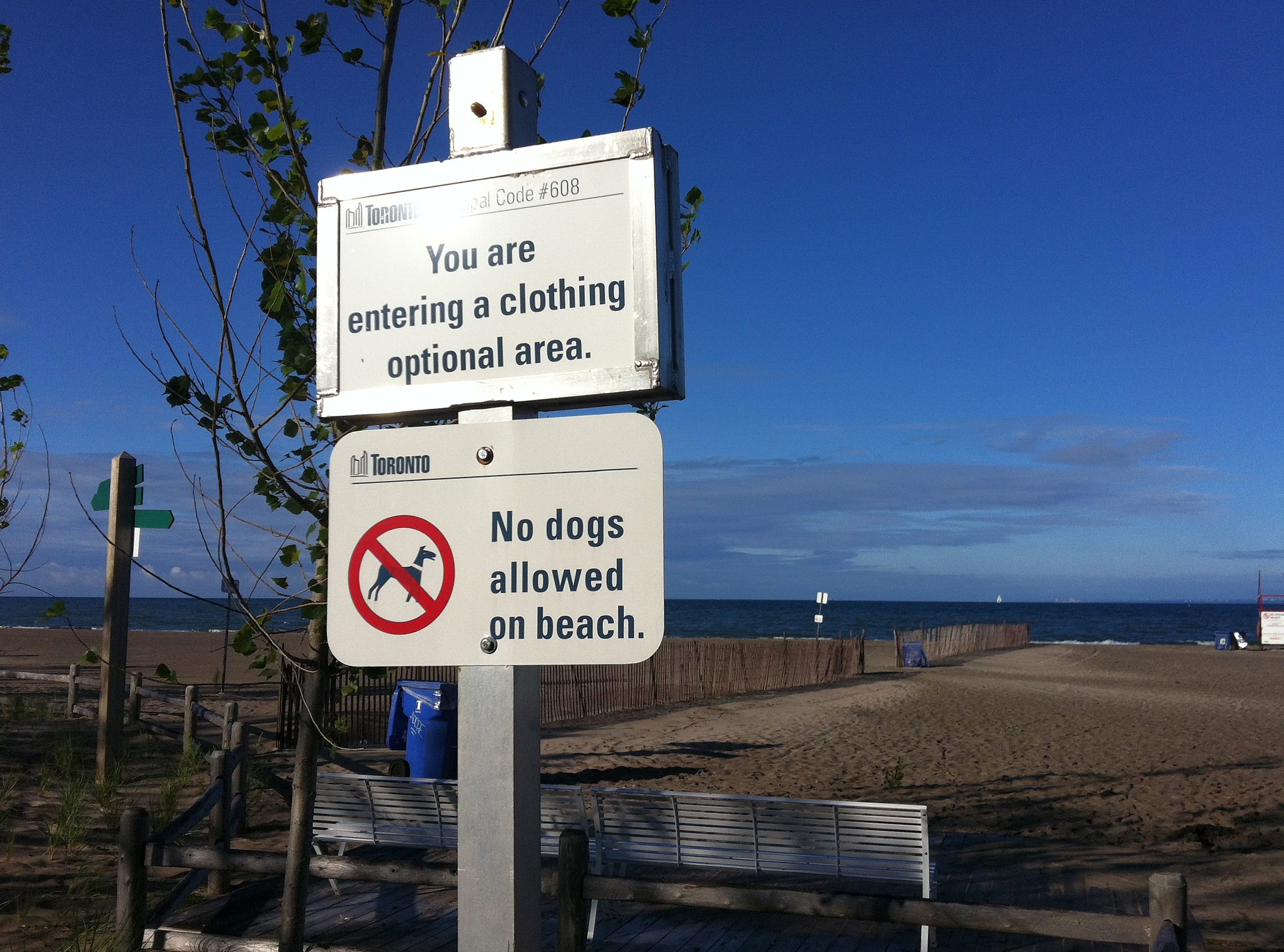 Hanlan’s Point Beach