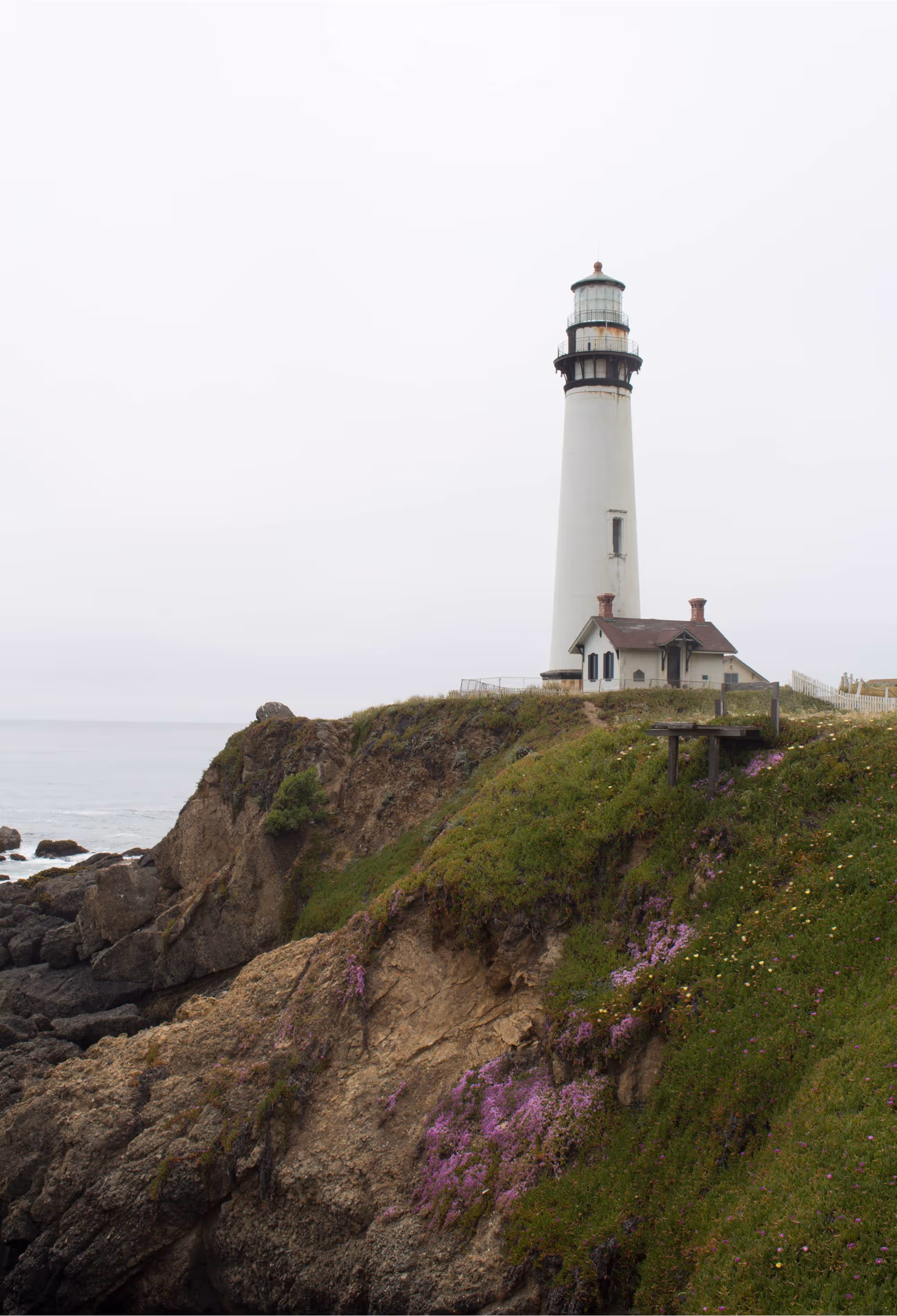 Tall white lighthouse on a rocky cliff with green grass and purple flowers, symbolizing guidance and clarity.
